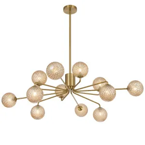 Telbix Felton 12 Light Pendant Antique Gold and Amber Tear by Telbix, a Pendant Lighting for sale on Style Sourcebook