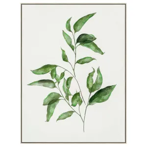 Botanica Leaf B Wall Art by Florabelle Living, a Prints for sale on Style Sourcebook