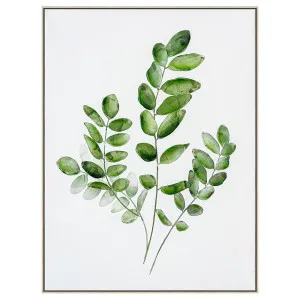 Botanica Leaf C Wall Art by Florabelle Living, a Prints for sale on Style Sourcebook