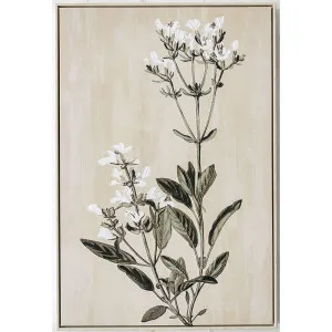 Wildflower Stem Wall Art by Florabelle Living, a Prints for sale on Style Sourcebook