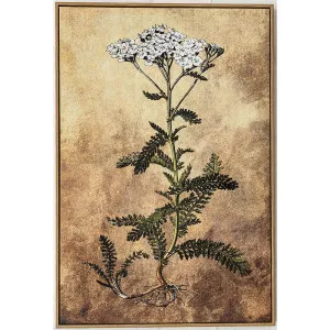 Country Wildflower Wall Art by Florabelle Living, a Prints for sale on Style Sourcebook