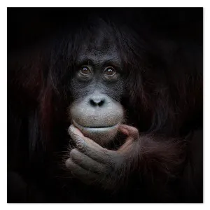 The Mirror Image, By Antje Wenner by Gioia Wall Art, a Prints for sale on Style Sourcebook