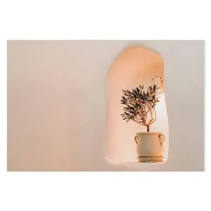 Little olive tree in flower Pot by Gioia Wall Art, a Prints for sale on Style Sourcebook