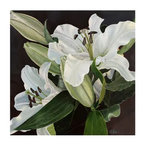 White Lilies , By Hsin Lin by Gioia Wall Art, a Prints for sale on Style Sourcebook