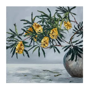 Banksias , By Angela Hawkey by Gioia Wall Art, a Prints for sale on Style Sourcebook