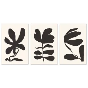 Jasmine, Crossandra And Lily, Set Of 3 , By Andelle Art by Gioia Wall Art, a Prints for sale on Style Sourcebook