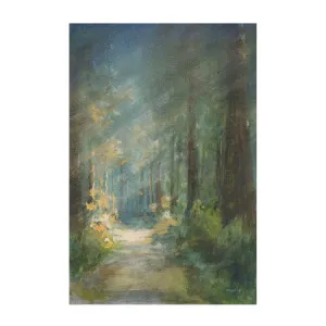 Sun Soaked Redwoods , By Danhui Nai by Gioia Wall Art, a Prints for sale on Style Sourcebook