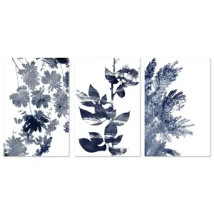 Deep Ecology, Style A, B & C, Set Of 3 , By Danushka Abeygoda by Gioia Wall Art, a Prints for sale on Style Sourcebook