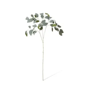 Eucalyptus Spray - 50 x 36 x 93cm by Elme Living, a Plants for sale on Style Sourcebook