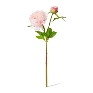 Peony Garden Spray (RT) - 30 x 20 x 62cm by Elme Living, a Plants for sale on Style Sourcebook