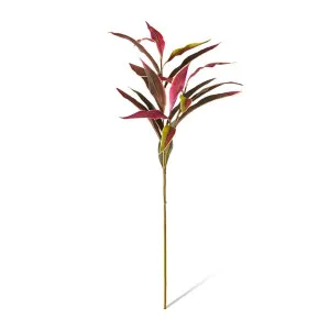 Cordyline Spray - 45 x 15 x 104cm by null, a Plants for sale on Style Sourcebook