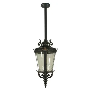 Albany Exterior Rod Pendant Medium by Lighting Inspirations, a Outdoor Lighting for sale on Style Sourcebook