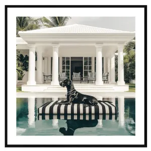 Bradley Framed Print in 118 x 118cm by OZ Design, a Prints for sale on Style Sourcebook