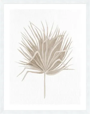 DRIED I - 76x61cm by null, a Prints for sale on Style Sourcebook