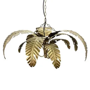 Azalea Iron Pendant Lamp Gold by Florabelle Living, a Pendant Lighting for sale on Style Sourcebook