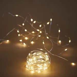 10M LED Fairy Lights 100 Lights Battery Operated by Florabelle Living, a Christmas for sale on Style Sourcebook
