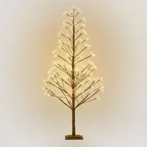 Nature Brown Starry Tree 210cm With 1920LED by Florabelle Living, a Christmas for sale on Style Sourcebook