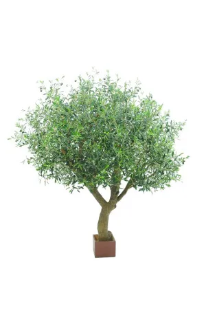 Olive Tree With 12648 Leaves & 150 Fruits 180cm by Florabelle Living, a Plants for sale on Style Sourcebook