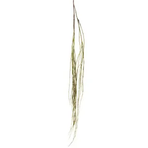 Willow Vine Spray 1.6m Green by Florabelle Living, a Christmas for sale on Style Sourcebook
