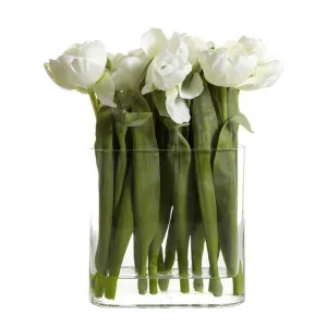 Tulip in Water in Vase White by Florabelle Living, a Plants for sale on Style Sourcebook