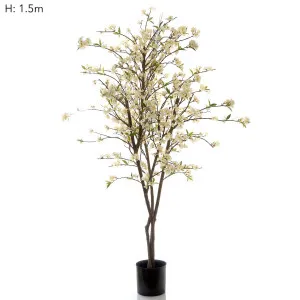 Cherry Blossom Tree 1.8m by Florabelle Living, a Plants for sale on Style Sourcebook