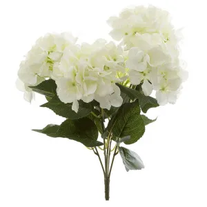 Hydrangea Bundle with Leaves 55cm White by Florabelle Living, a Plants for sale on Style Sourcebook