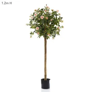 Diamond Rose Ball Tree Pink 105cm by Florabelle Living, a Plants for sale on Style Sourcebook