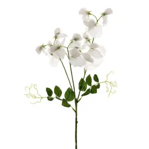 Sweetpea Spray 70cm White by Florabelle Living, a Plants for sale on Style Sourcebook