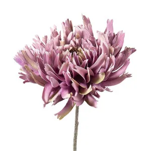 Dahlia Spray 56cm Dark Pink by Florabelle Living, a Plants for sale on Style Sourcebook