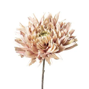Dahlia Spray 56cm Light Pink by Florabelle Living, a Plants for sale on Style Sourcebook