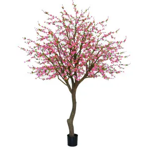 Giant Blossom Tree 3.96m by Florabelle Living, a Plants for sale on Style Sourcebook