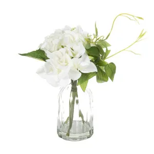 Hydrangea in Glass Vase 23cm White by Florabelle Living, a Plants for sale on Style Sourcebook