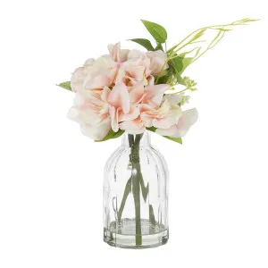 Hydrangea in Glass Vase Pink 23cm by Florabelle Living, a Plants for sale on Style Sourcebook