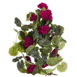 Geranium Bush Trail Dark 60cm Lilac by Florabelle Living, a Plants for sale on Style Sourcebook