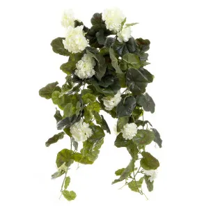 Geranium Bush Trail 60cm Cream by Florabelle Living, a Plants for sale on Style Sourcebook