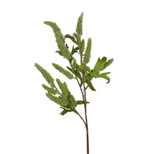 Sage Stem 70cm Green by Florabelle Living, a Plants for sale on Style Sourcebook
