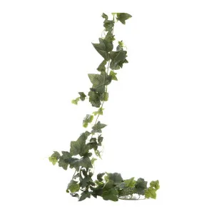Ivy Garland 1.8m Green by Florabelle Living, a Christmas for sale on Style Sourcebook