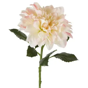 Giant Dahlia Stem 70cm Ice Pink by Florabelle Living, a Plants for sale on Style Sourcebook