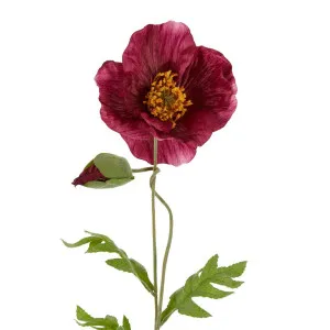 Poppy Stem 68cm Plum by Florabelle Living, a Plants for sale on Style Sourcebook