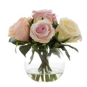 Rose in Water Pink Cream by Florabelle Living, a Plants for sale on Style Sourcebook