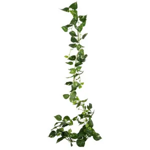 Pothos Leaf Garland Light Green by Florabelle Living, a Christmas for sale on Style Sourcebook