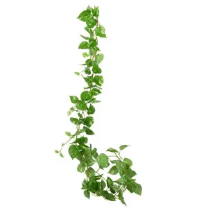 Pothos Leaf Garland Dark Green by Florabelle Living, a Christmas for sale on Style Sourcebook