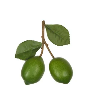 Lime Branch Green by Florabelle Living, a Plants for sale on Style Sourcebook