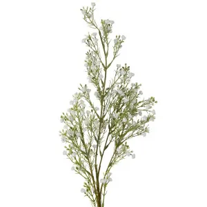 Baby's Breath Spray 81cm White by Florabelle Living, a Plants for sale on Style Sourcebook