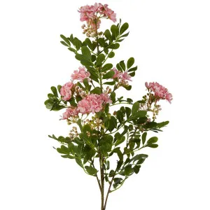Giant Michelia Spray 115cm Pink by Florabelle Living, a Plants for sale on Style Sourcebook