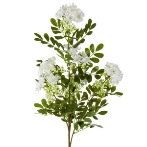 Giant Michelia Spray 115cm White by Florabelle Living, a Plants for sale on Style Sourcebook