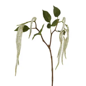 Amaranthus Hanging Plant 90cm White by Florabelle Living, a Plants for sale on Style Sourcebook