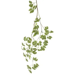 Boston Ivy Garland 150cm by Florabelle Living, a Christmas for sale on Style Sourcebook