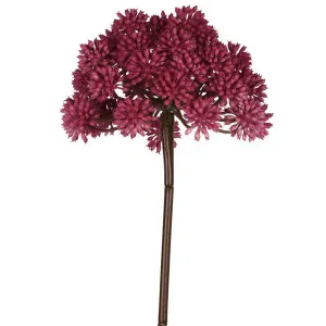Allium 98cm Fuschia by Florabelle Living, a Plants for sale on Style Sourcebook