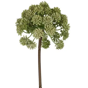 Allium 98cm Green by Florabelle Living, a Plants for sale on Style Sourcebook